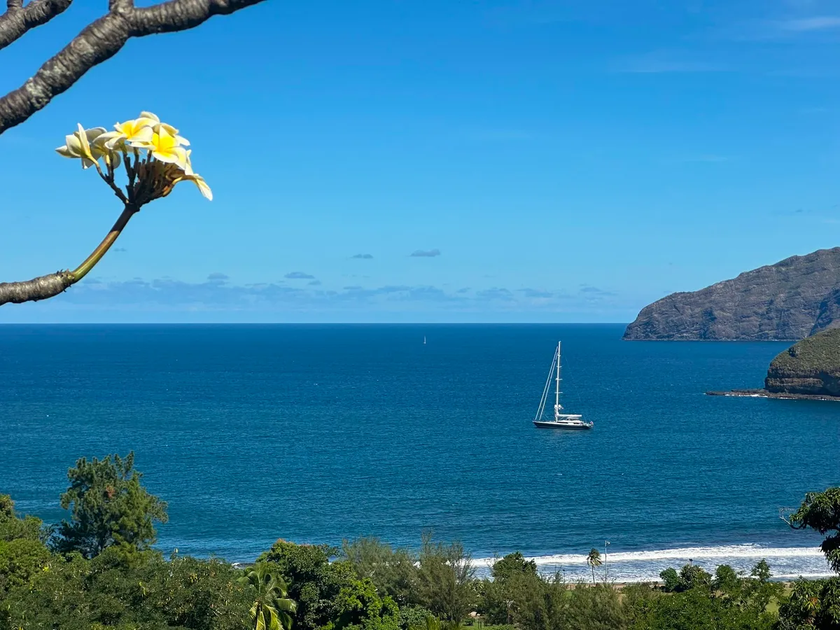 A frangipani blossom frames a distant view of Serendipity I anchored off the Marquesas coast