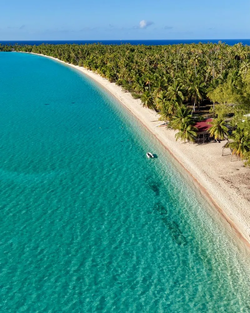 A white-sand beach curving along a palm-lined motu, seen from above